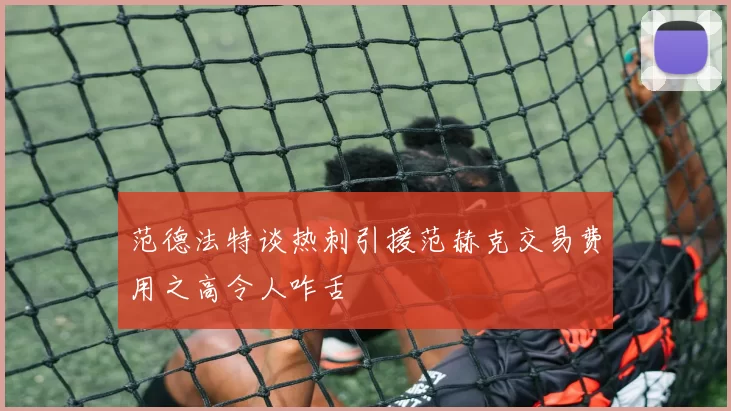 范德法特谈热刺引援范赫克交易费用之高令人咋舌